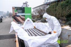 eternitplatten-entsorgung-dachdeckerei-seibt-speyer-26