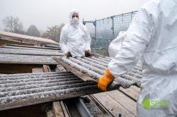 eternitplatten-entsorgung-dachdeckerei-seibt-speyer-27